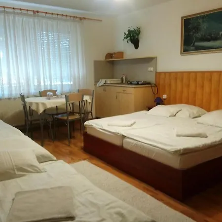 Guest house Csillag Panzio