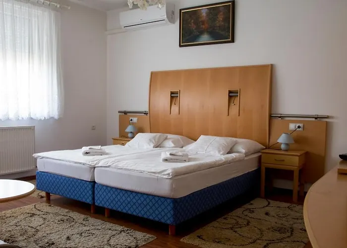 Csillag Panzio Guest house 4*